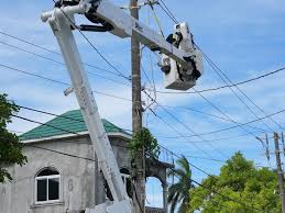 Image result for Woking Power