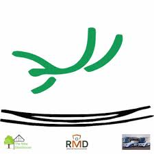 Image result for Abbey Flyers Trampoline Club