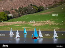 Image result for St Mary's Loch Sailing Club