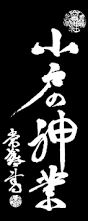 Image result for Iwama Shin Shin Aiki Shuren Kai