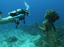 Image result for Leeds Free Divers Octopush Club