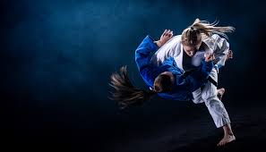 Image result for Ashby Ivanhoe Judo Club