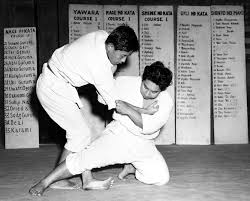 Image result for Goshin Ryu Atemi JuJitsu