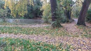 Image result for Fetcham Cannons