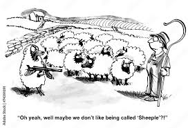 Image result for sheeple