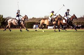 Image result for Kirtlington Park Polo Club