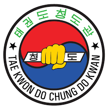 Image result for Absolute tae kwon do association