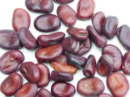 Image result for Dicke Bohnen