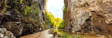 Image result for Bridge Of Earn Bowling Club