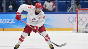 Image result for Ice Hockey International
