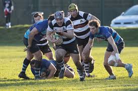 Image result for Farnham Rugby Union Football Club