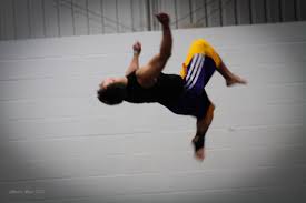 Image result for City Of Leeds Gymnastics Club