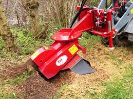 Image result for fsi tehron