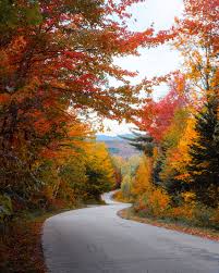 Bildergebnis für Fall…