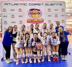 Image result for British Airways Volleyball Club