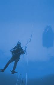 Image result for Blue Water Diving