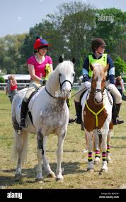 Image result for Chiddingfold Branch Of The Pony Club