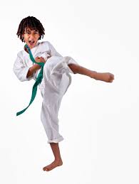Image result for COMBAT TAEKWONDO