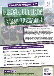 Image result for Weybridge Vandals Rugby Club