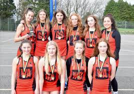 Image result for Penryn Netball Club