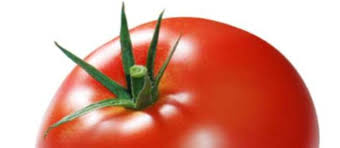 Tomate combate o envelhecimento e doen&ccedil;as cr&ocirc;nicas - Not&iacute;cias ...