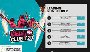 Image result for Ivybridge Cricket Club