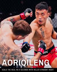 Image result for Enfield T'ai Tsung Chinese Boxing