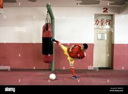 Image result for Chinese Kick Boxing Club