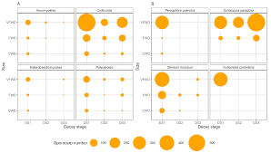 Attēlu rezultāti vaicājumam “Diderma ochraceum macro”