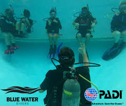 Image result for Blue Water Diving