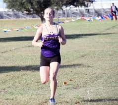 Image result for Wee County Harriers