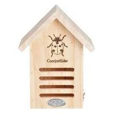 Image result for ladybug house