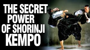 Image result for Harrow Shorinji Kempo