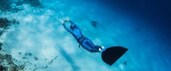 Image result for Bath Freediving Club