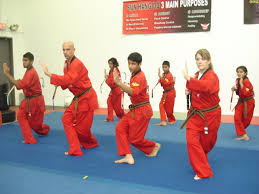 Image result for ATA Martial Arts Maple Ridge