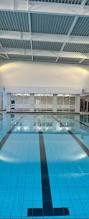 Image result for Morpeth Amateur Swimming Club