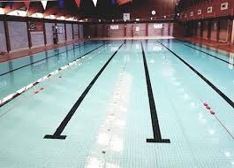 Image result for Frome Swimming Club