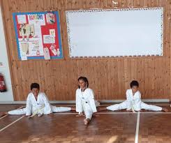Image result for Dujon Tae Kwon Do
