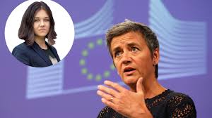 Image result for Amelia Andersdotter