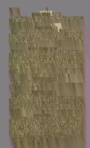 Attēlu rezultāti vaicājumam “Rosellinia desmazieri spores”