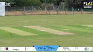 Image result for Lower Halstow Fc