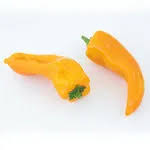 Afbeeldingsresultaat voor topepo giallo sweet pepper