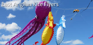 Image result for Brighton Kite Fliers