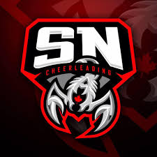 Image result for Sheffield Scorpions Cheerleading