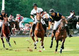 Image result for Inglesham Polo Centre