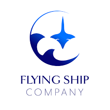Image result for flying ship