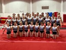 Image result for Swallows Of Helston Gymnastics Club