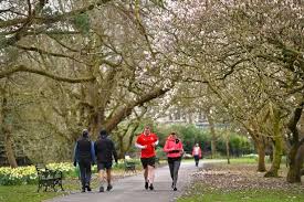 Image result for Cardiff Capitals