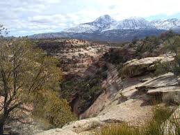 Image result for Ancestral Mountains