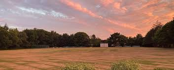 Image result for Buscot Park Cricket Club